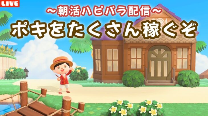 【あつ森】毎週火曜日は朝活ハピパラ！6×6縛りレイアウトでポキを稼ぐLIVE配信！【あつまれ どうぶつの森】