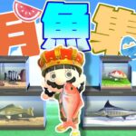 【あつ森】7月の魚集め切るまで終われない！！！（残り15種）【初見プレイ】