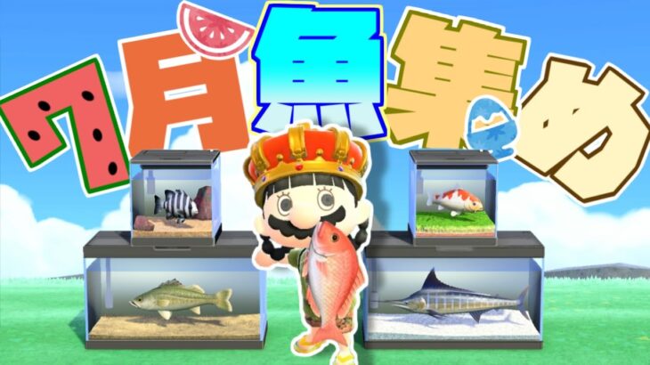 【あつ森】7月の魚集め切るまで終われない！！！（残り15種）【初見プレイ】