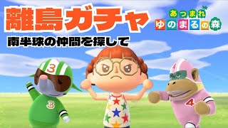 🔴7/21 あつ森離島ガチャ＊住民さんお渡し会リクエスト受付中