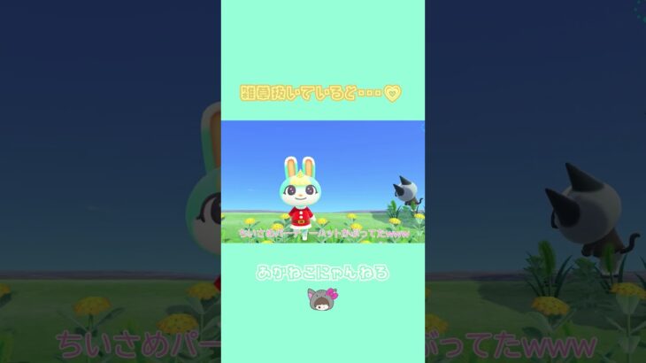 【あつ森】ミッチェルにツノ！？なにか生えてる！？　 #あつ森 #あつまれどうぶつの森 ＃ACNH