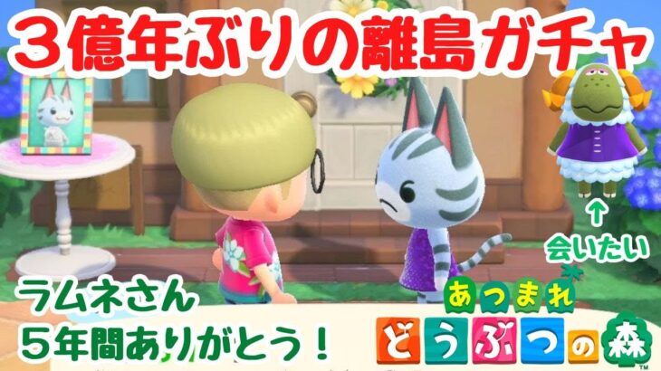【あつ森 離島ガチャ】ラムールさんに会いたい！オトナ系、コワい系を探して、３億年ぶりの離島ガチャ！【ACNH】【あつまれどうぶつの森】【ライブ配信】