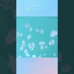 【あつ森 ASMR】水の生き物に癒されよう🫧🐠⑦【声なし】#あつ森 #あつまれどうぶつの森 #asmr #作業音 #作業asmr #睡眠 #睡眠導入 #acnh