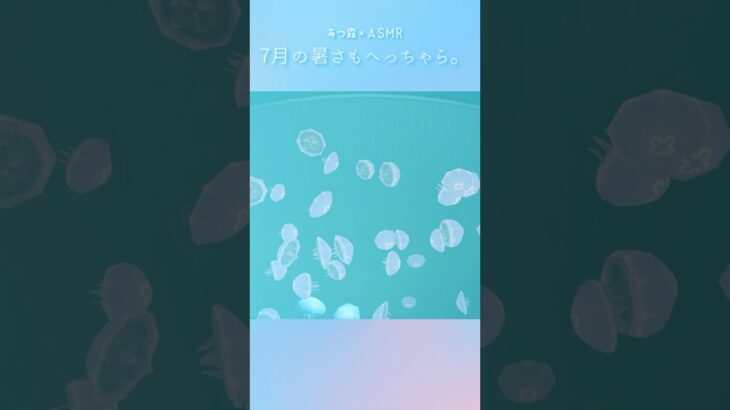【あつ森 ASMR】水の生き物に癒されよう🫧🐠⑦【声なし】#あつ森 #あつまれどうぶつの森 #asmr #作業音 #作業asmr #睡眠 #睡眠導入 #acnh