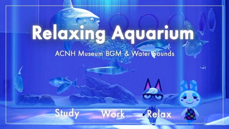 【あつ森BGM】みんなで癒やしの水族館 – 住人・ネコ増し｜博物館原曲と水の音｜作業・勉強・リラックス・睡眠用BGM【3時間】