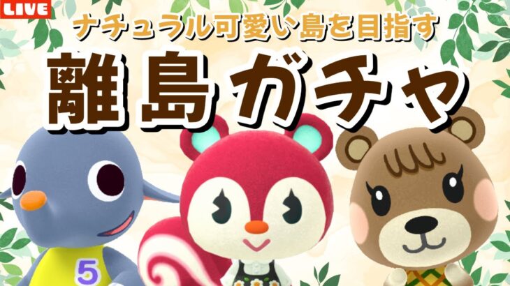 【あつ森】本当に今日こそ見つける！可愛い住民探す離島ガチャ！ナチュラルかわいい島クリを目指すLIVE配信！【あつまれ どうぶつの森】