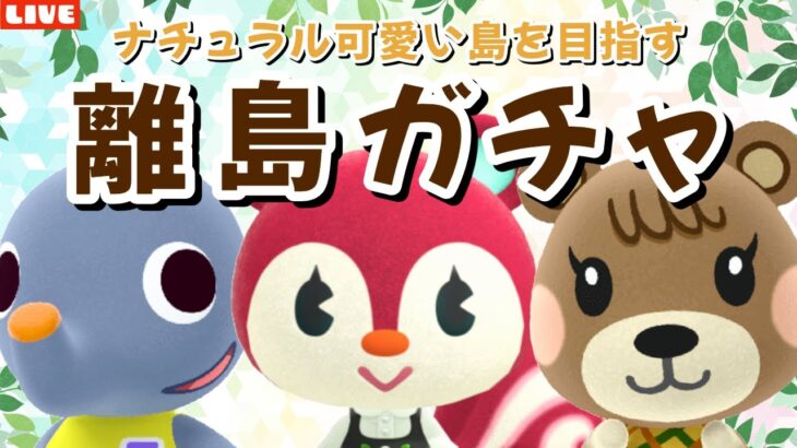 【あつ森】神回！ついに来ました！可愛い住民探す離島ガチャ！ナチュラルかわいい島クリを目指すLIVE配信！【あつまれ どうぶつの森】