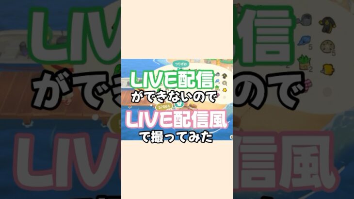 【あつ森】LIVE配信風なのに緊張するまーこ🐟 #あつ森 #はなまこ #ママ友 #shorts