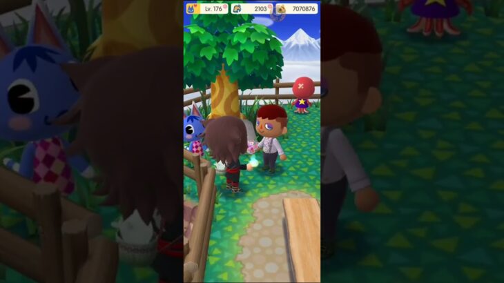 M_250630-A #AnimalCrossing #AnimalCrossingNewHorizons #ポケ森 #PocketCamp #acnh #ゲーム #あつ森 #Games #動物森友會