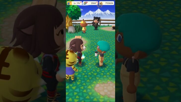 M_250703 #AnimalCrossing #AnimalCrossingNewHorizons #ポケ森 #PocketCamp #acnh #ゲーム #あつ森 #Games #動物森友會