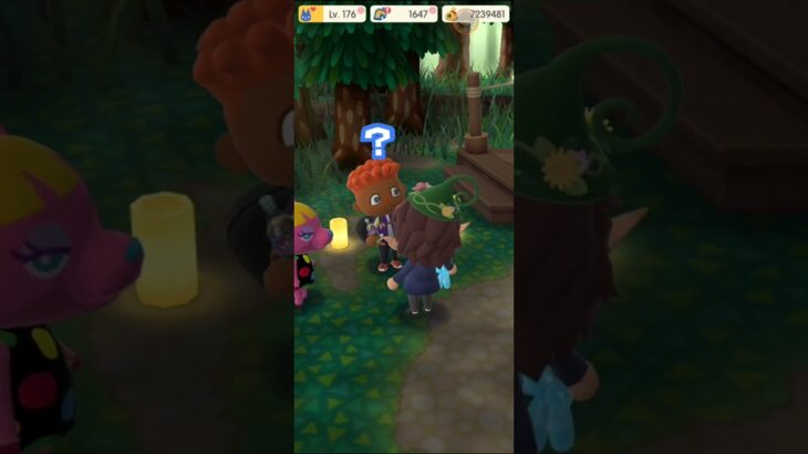 M_250706-C #AnimalCrossing #AnimalCrossingNewHorizons #ポケ森 #PocketCamp #acnh #ゲーム #あつ森 #Games #動物森友會