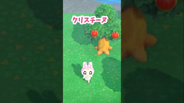 【あつ森】クリスチーヌがかわいすぎてなかなか始められないOP🤦‍♀️ #あつ森 #あつ森日記 #あつまれどうぶつの森 #クリスチーヌ