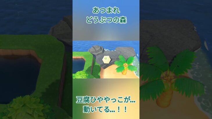 動く豆腐のひややっこ[RIKO]#豆腐#あつ森#shorts