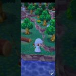 R_250619-C #AnimalCrossing #AnimalCrossingNewHorizons #ポケ森 #PocketCamp #acnh #ゲーム #あつ森 #Games #動物森友會