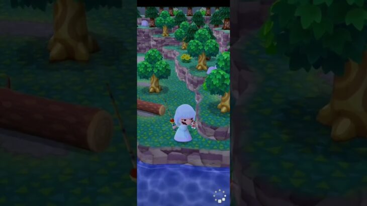 R_250619-C #AnimalCrossing #AnimalCrossingNewHorizons #ポケ森 #PocketCamp #acnh #ゲーム #あつ森 #Games #動物森友會