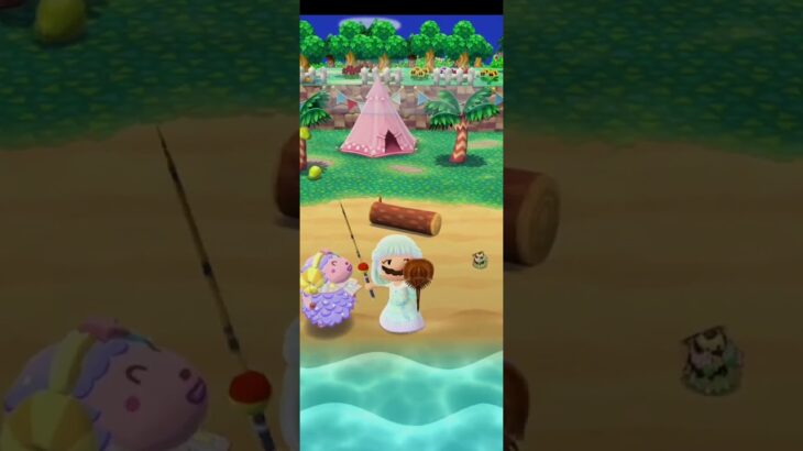 R_250619-E #AnimalCrossing #AnimalCrossingNewHorizons #ポケ森 #PocketCamp #acnh #ゲーム #あつ森 #Games #動物森友會