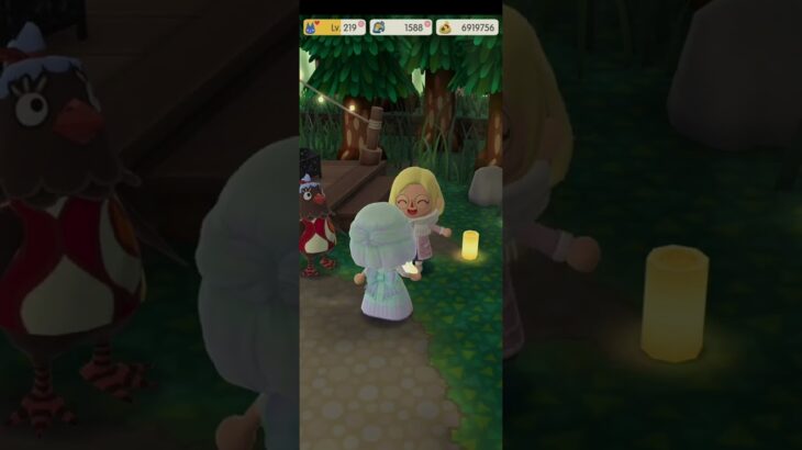 R_250620-D #AnimalCrossing #AnimalCrossingNewHorizons #ポケ森 #PocketCamp #acnh #ゲーム #あつ森 #Games #動物森友會