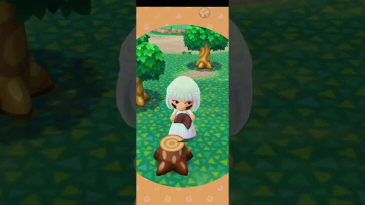 R_250622   #AnimalCrossing #AnimalCrossingNewHorizons #ポケ森 #PocketCamp #acnh #ゲーム #あつ森 #Games #動物森友會