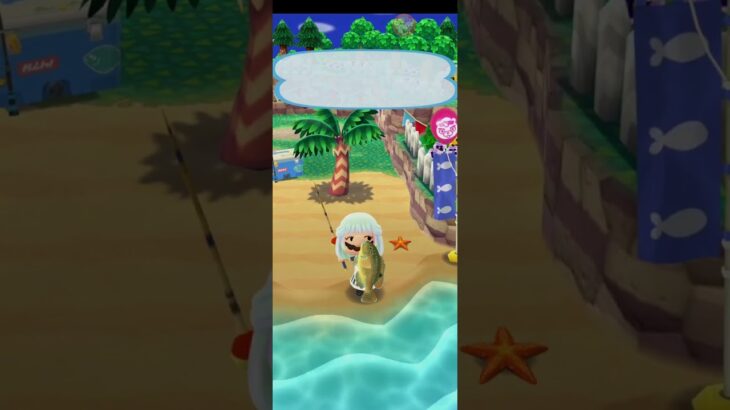 R_250718-C #AnimalCrossing #AnimalCrossingNewHorizons #ポケ森 #PocketCamp #acnh #ゲーム #あつ森 #Games #動物森友會