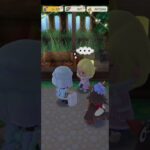 R_250723-B #AnimalCrossing #AnimalCrossingNewHorizons #ポケ森 #PocketCamp #acnh #ゲーム #あつ森 #Games #動物森友會