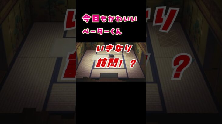 【あつ森】Re:可愛いペーターくんのお宅訪問　#Shorts