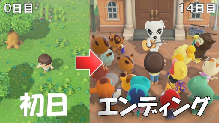 【あつ森】最初から始めて１４日目でエンディングまでの効率的な進め方全て解説します！初心者やSwitch2から始めた方にも見てほしい！とたけけライブ・島クリエイター入手【あつまれどうぶつの森】