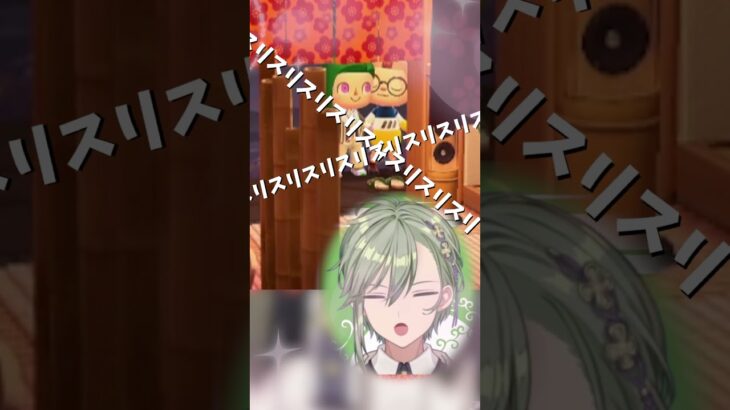 【 あつまれ どうぶつの森 】　バグ技でほっぺすりすりするリスナーに大爆笑するVtuber #shorts #男性Vtuber