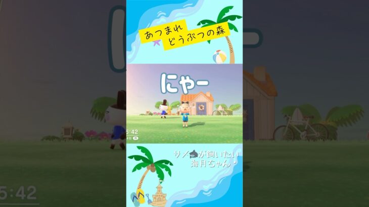 【あつ森】このサメ飼ってもいい？【くらゲーム】#あつ森 #あつまれどうぶつの森 #acnh #animalcrossingnewhorizons #せなすけ #サメ