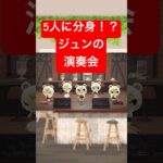 【あつ森】５人に分身したジュンのけけボッサ #あつ森 #けけアイドル #animalcrossing #あつまれどうぶつの森