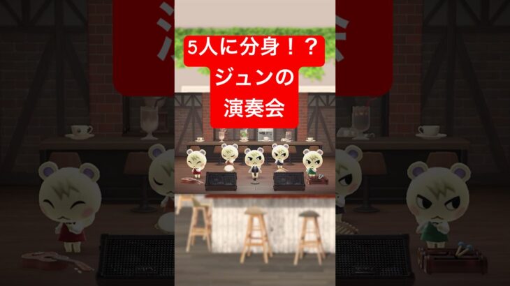 【あつ森】５人に分身したジュンのけけボッサ #あつ森 #けけアイドル #animalcrossing #あつまれどうぶつの森
