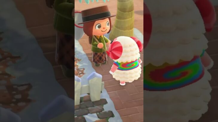 ちゃちゃまるの可愛い顔を映せてない😭#あつ森 #あつまれどうぶつの森 #animalcrossing