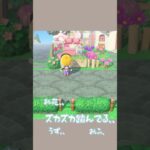 我が島のおてんば娘です♡#あつ森 #あつまれどうぶつの森 #animalcrossing