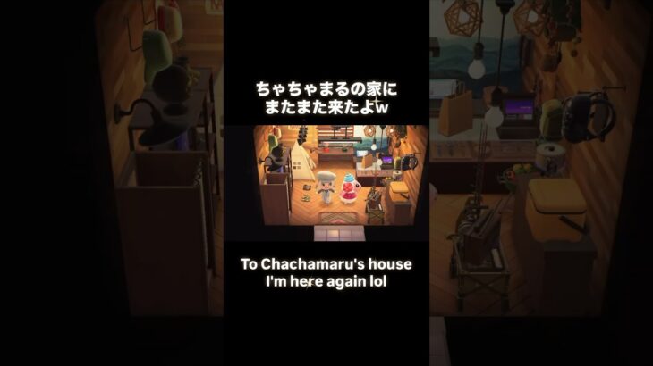 ちゃちゃまる宅訪問シリーズ🏠 #あつ森 #あつまれどうぶつの森 #あつ森好きな人と繋がりたい #animalcrossing #おかめなっ島 #acnh #cozygames #shorts