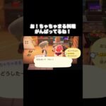 ちゃちゃまるを応援ꉂꉂ📣 #あつ森 #あつまれどうぶつの森 #あつ森好きな人と繋がりたい #animalcrossing #ゆめみ #おかめなっ島 #acnh #応援 #shorts #ちゃちゃまる