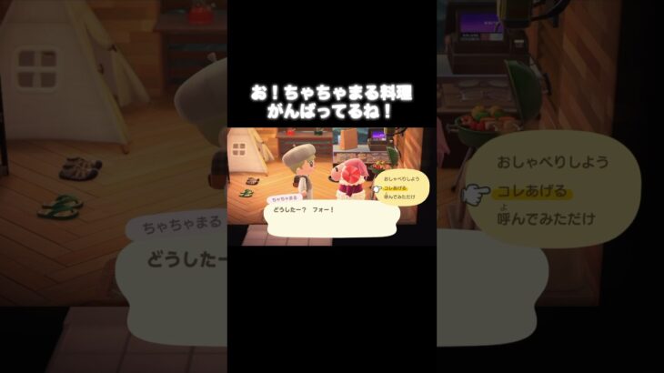 ちゃちゃまるを応援ꉂꉂ📣 #あつ森 #あつまれどうぶつの森 #あつ森好きな人と繋がりたい #animalcrossing #ゆめみ #おかめなっ島 #acnh #応援 #shorts #ちゃちゃまる