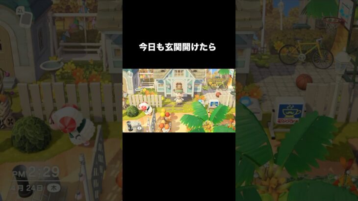 まねっ子どうぶつ🐑 #あつ森 #あつまれどうぶつの森 #あつ森好きな人と繋がりたい #animalcrossing #おかめなっ島 #acnh #shorts #ちゃちゃまる #羊 #comedy