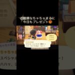 思ってたのと違う（笑） #あつ森 #あつまれどうぶつの森 #あつ森好きな人と繋がりたい #animalcrossing #ゆめみ #おかめなっ島 #acnh #shorts #cozygames