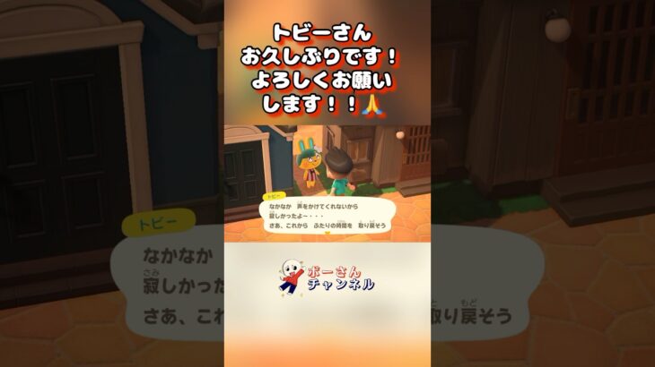 ほんとに久々の再会 #あつまれどうぶつの森 #あつ森 #animalcrossing #shorts