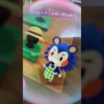 #霊菜猫妖 居させろや！！！！！ #あつ森 #茶番ねよ #animalcrossingnewhorizons