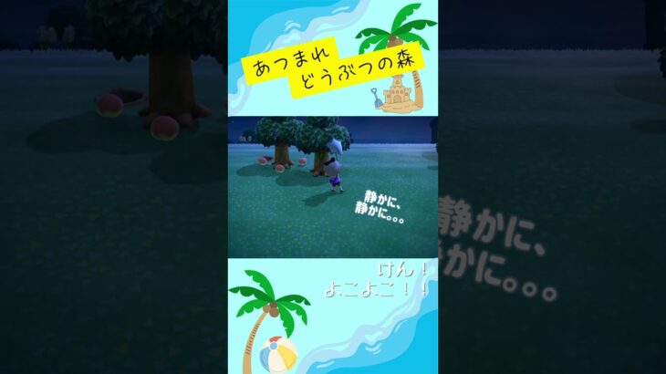 【あつ森】かなぶんとれないかー。【くらゲーム】#あつ森 #あつまれどうぶつの森 #animalcrossingnewhorizons #acnh #けん