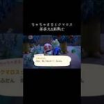 #ちゃちゃ丸 #クマロス#あつ森 #あつまれどうぶつの森 #animalcrossingnewhorizons #animalcrossing #動森#動物森友會