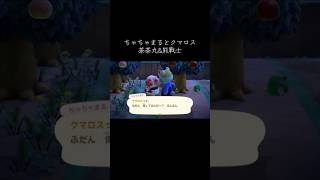 #ちゃちゃ丸 #クマロス#あつ森 #あつまれどうぶつの森 #animalcrossingnewhorizons #animalcrossing #動森#動物森友會