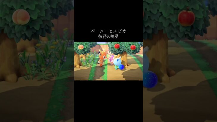 #ピーター#スピカ#あつ森#あつまれどうぶつの森  #animalcrossingnewhorizons #animalcrossing #動森#動物森友會