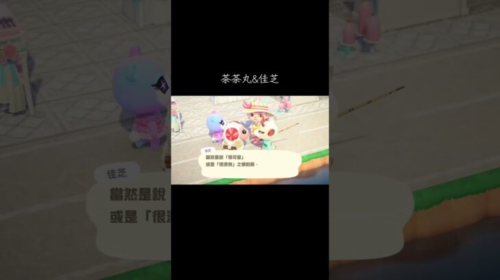 #茶茶丸#佳芝#あつ森 #あつまれどうぶつの森 #動森#動物森友會 #動物の森 #animalcrossingnewhorizons #animalcrossing