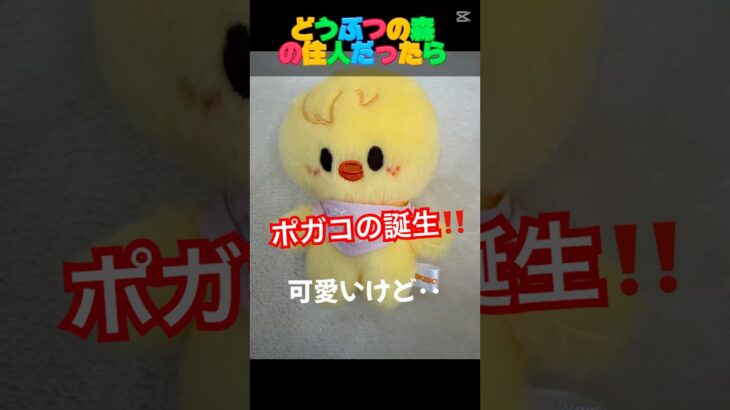 #bbokari #ポガリ#shorts #skzoo #スキズー #あつ森