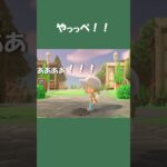【あつ森】スマホ落とした時の一瞬の祈り🙏🏻 #daily #日常  #あつ森 #あつまれどうぶつの森 #shorts