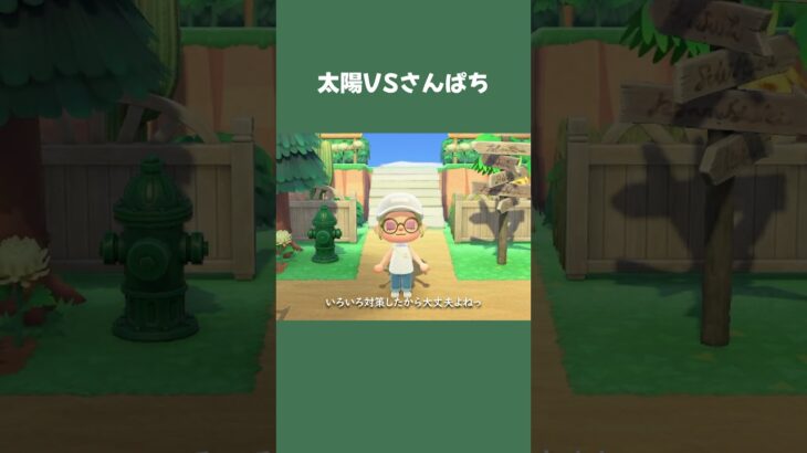 【あつ森】光を浴びて、かゆくなるさんぱち #daily #日常  #あつ森 #あつまれどうぶつの森 #shorts