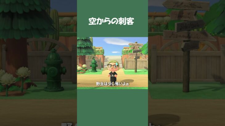 【あつ森】外を歩いてたら、ハトが鼻先にぶつかってきた話  #あつ森 #あつまれどうぶつの森 #daily #日常 #shorts
