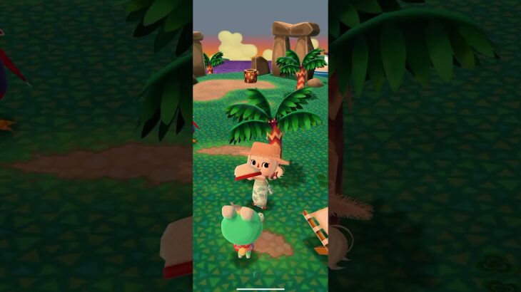 ポケ森 #あつまれどうぶつの森 #dantdmanimalcrossing #あつ森 #animalcrossing #animalcrossingnewhorizons #どうぶつの森