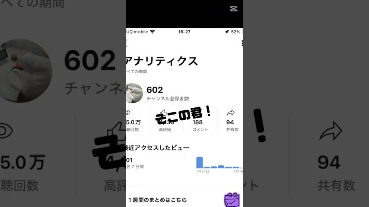 チャンネル登録よろしくね！ #js #あつ森 #小6が頑張って描いてみた #js6 #イラスト #オリジナルmv #雰囲気 #あつまれどうぶつの森 #生活音